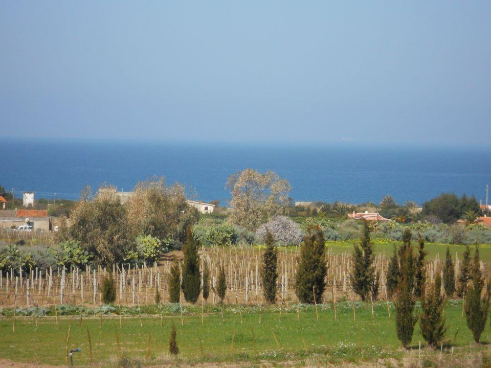 Agriturismo Tres Montes 索尔索 外观 照片