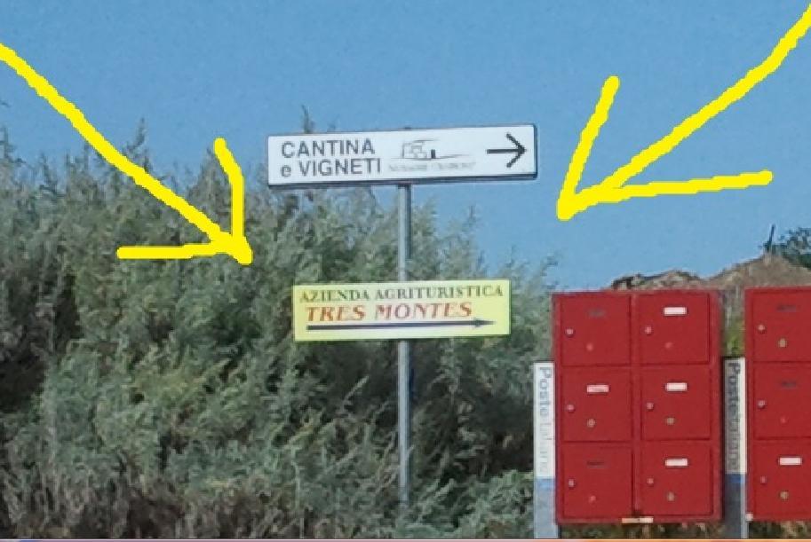 Agriturismo Tres Montes 索尔索 外观 照片