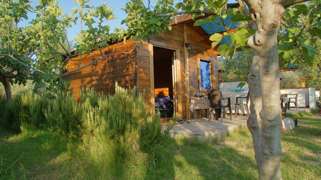 Agriturismo Tres Montes 索尔索 外观 照片