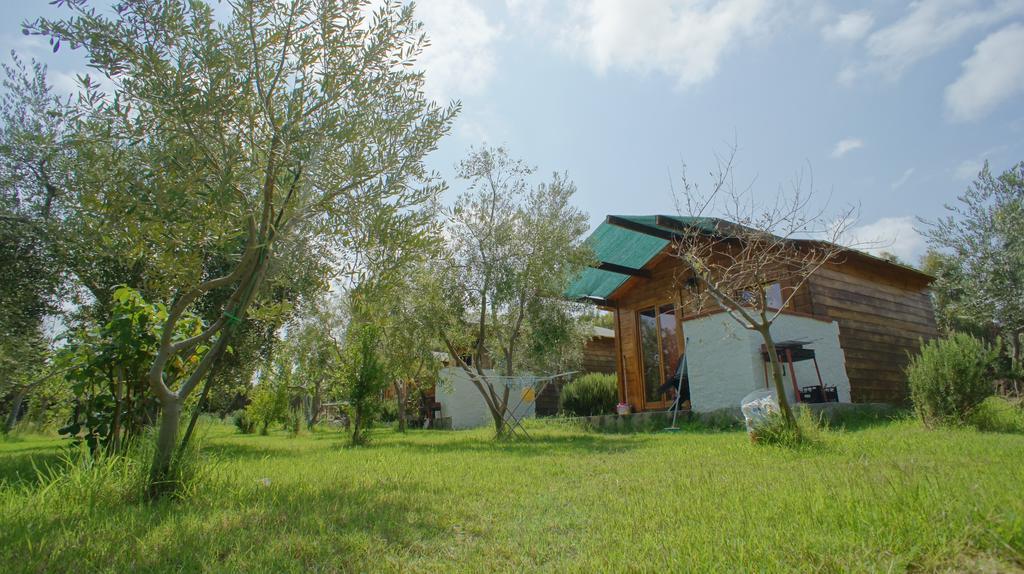 Agriturismo Tres Montes 索尔索 外观 照片