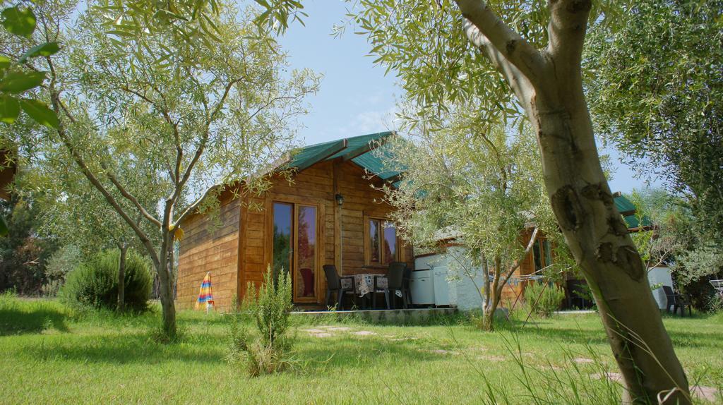 Agriturismo Tres Montes 索尔索 外观 照片