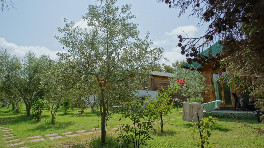 Agriturismo Tres Montes 索尔索 外观 照片